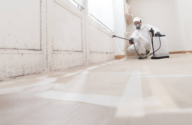24/7 Emergency Bathroom Mold Removal experts in Antioch, TN